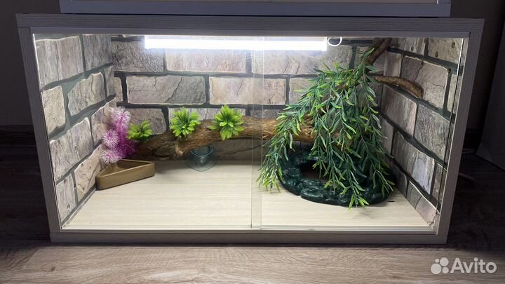 Комплект для эублефара