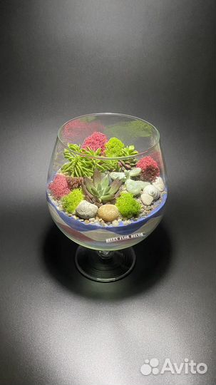Флорариум в подарок
