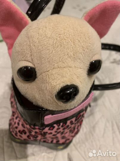 Собачка в сумочке