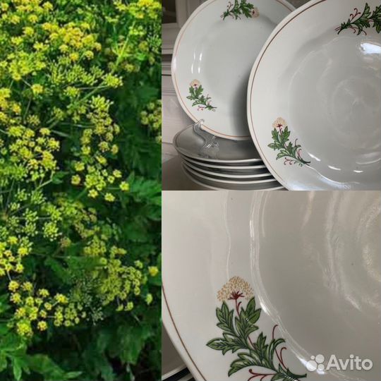 Тарелки блюдо Рига СССР