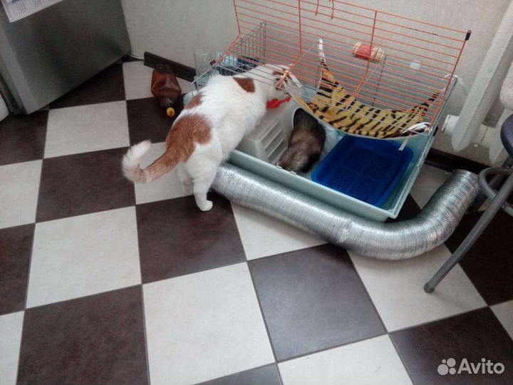 Клетка для хорька бу