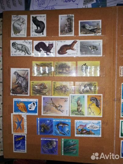 Альбом с марками