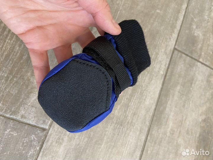 Обувь для собак