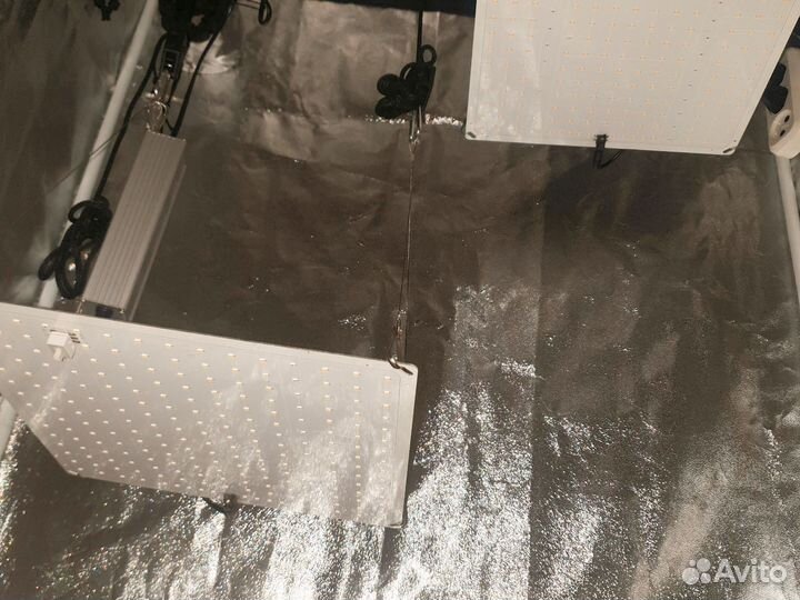 Гроубокс 90 50 160