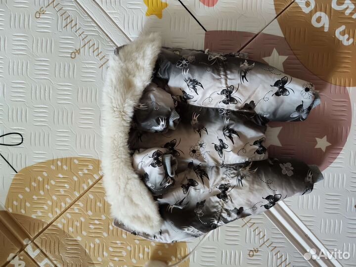 Одежда для маленьких собак