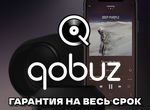Qobuz Studio Hi-Res (1-12 мес) новый + продление