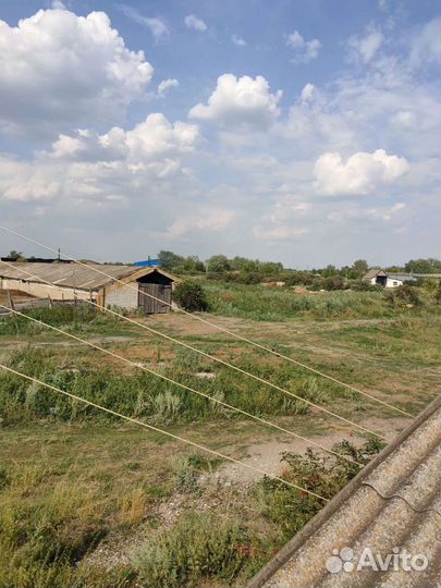 Животноводческая ферма