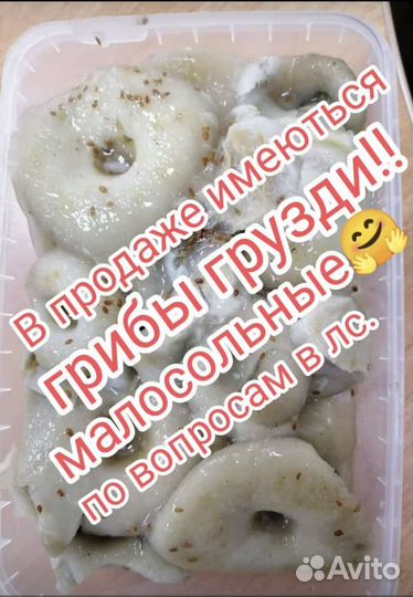 Грузди молосольные