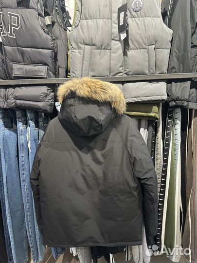 Зимняя парка Lacoste