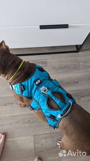 Шлейка рюкзак 2 в 1 для собаки