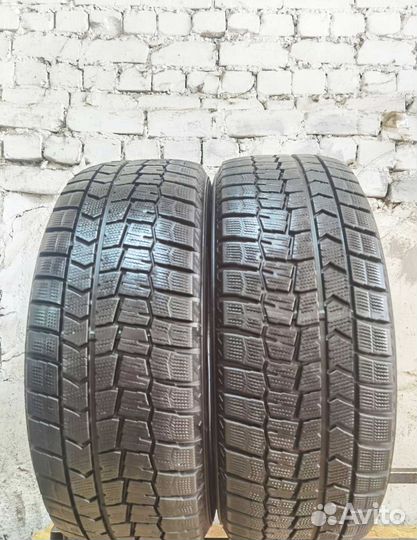 Dunlop Winter Maxx WM01 225/55 R17 97Q