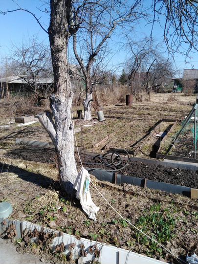 Дача 20 м² на участке 4 сот.