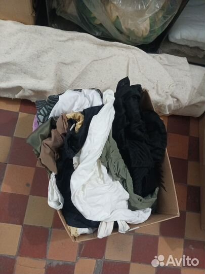 Женская одежда