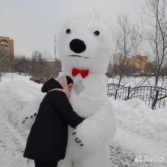 Белый Мишка, Чебурашка на поздравление