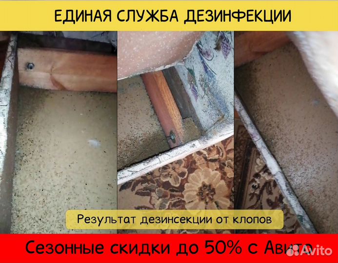 Уничтожение тараканов, клопов, муравьев, блох