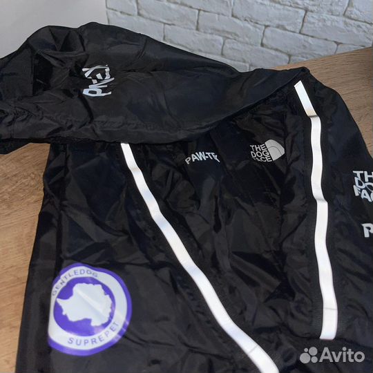 Дождевики для собак