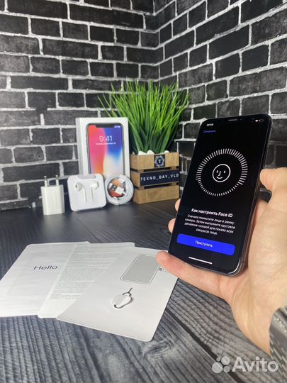 iPhone X, 256 ГБ