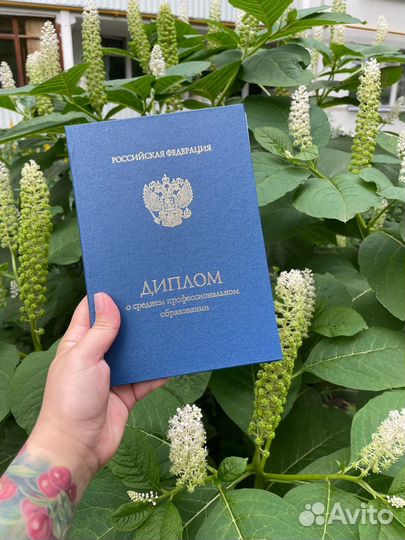 Курсовая вкр дипломная