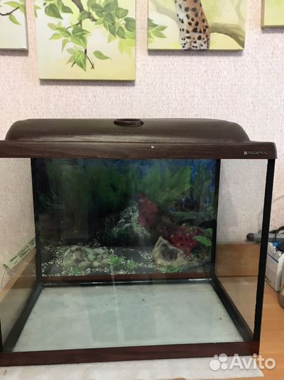 Аквариум