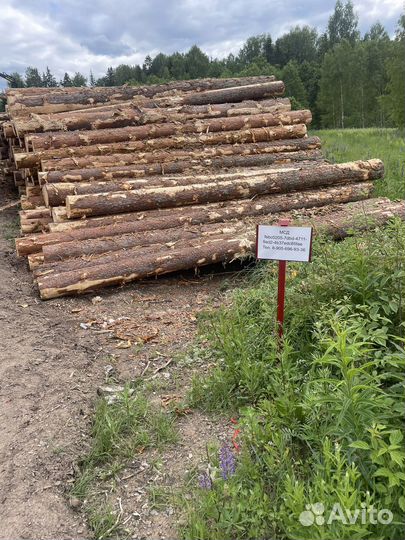 Продам лес кругляк пиловочник