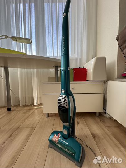 Пылесос Electrolux ergorapido