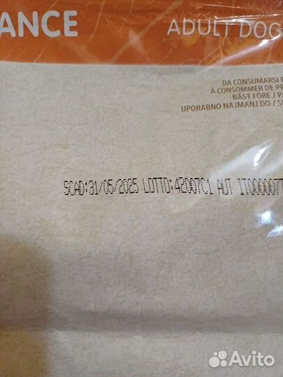 Корм для собак