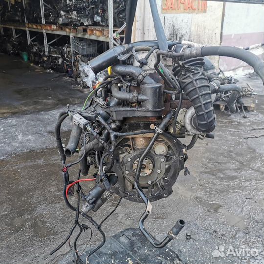 Двигатель Ford Focus 1 поколение рестайлинг 1.8