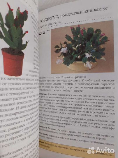 Книга Комнатные растения