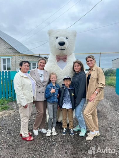 Белый медведь (мишка) на праздник