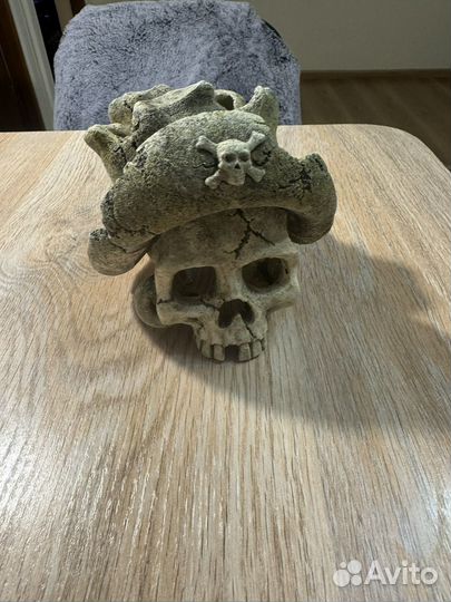 Череп в аквариум