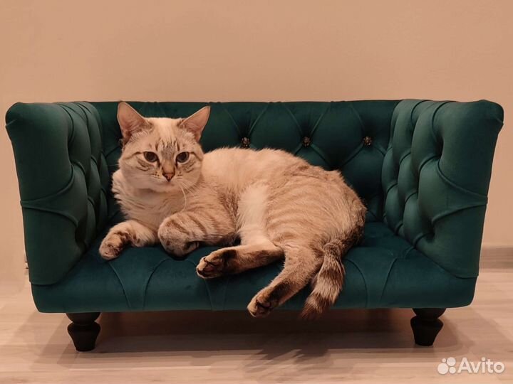 Диван-лежанка для животных