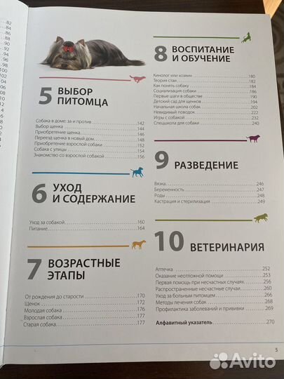 Книга собаки. Подарочная энциклопедия