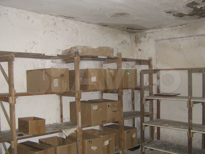 Торговая площадь 78,1 м²