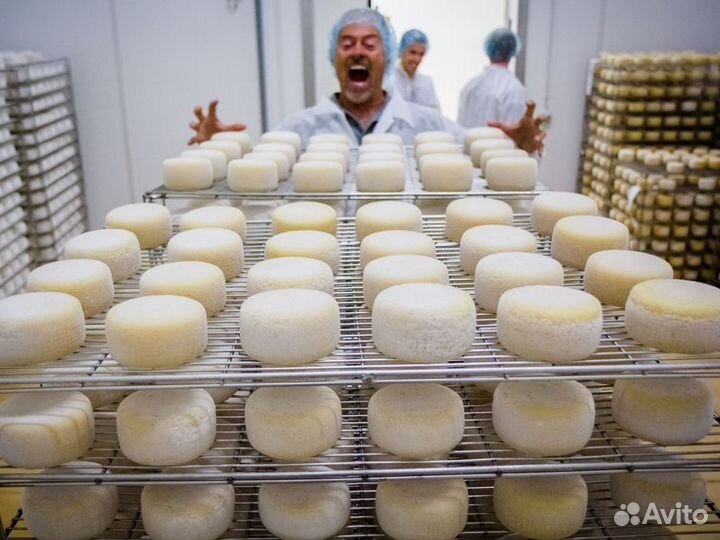 Экскурсия — Флоренция — Сыр и вино в живописном Са