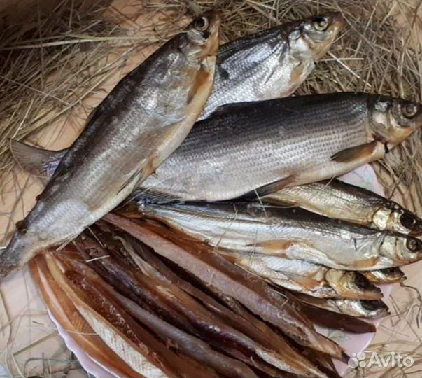 Северная рыба Щёкур,Чебак,Щука