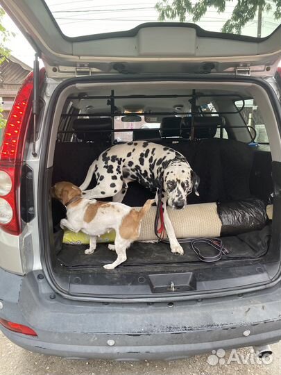 Перевозка животных/зоотакси