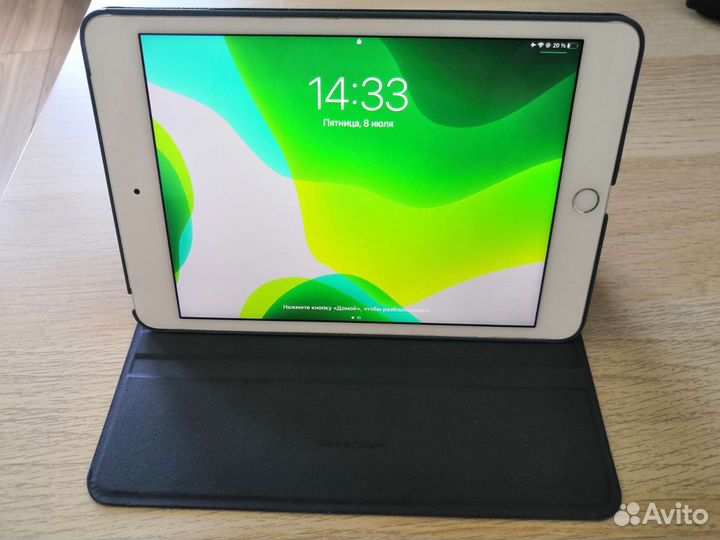 iPad mini 4 cellular