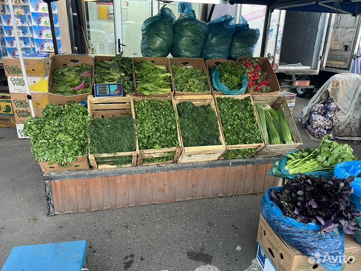 Свежая зелень