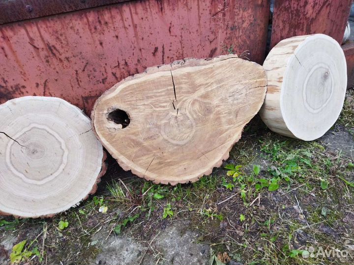 Спил Слэб Дуб Карагач