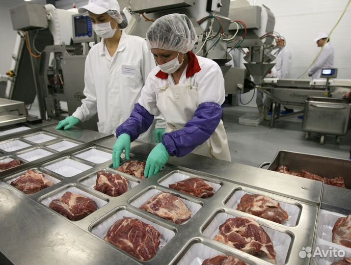 Заготовщик мяса вахта Воронеж(от 20 смен)