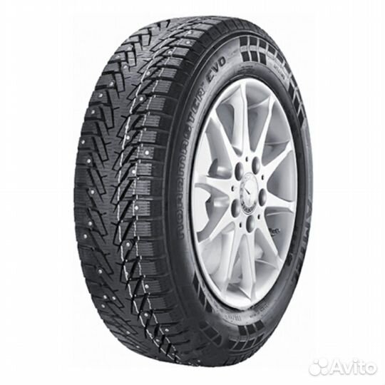 Amtel NordMaster Evo 195/65 R15