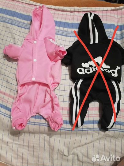 Костюмчики для собаки