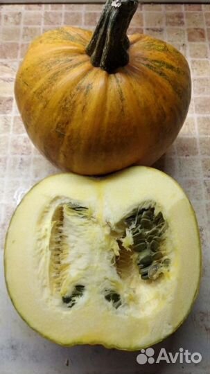 Семена тыквы голосеменной Даная и Абрикосовая