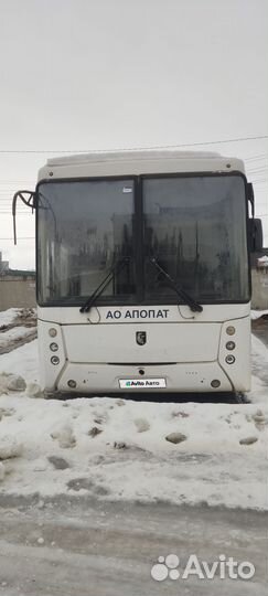 Междугородний / Пригородный автобус НефАз 5299, 2016