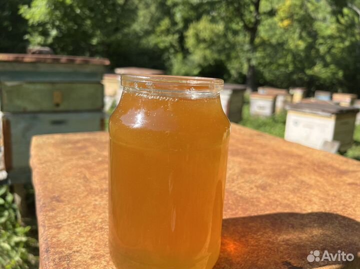 Мед оптом