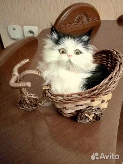 Пушистая кошечка в корзинке