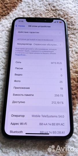 iPhone X, 256 ГБ