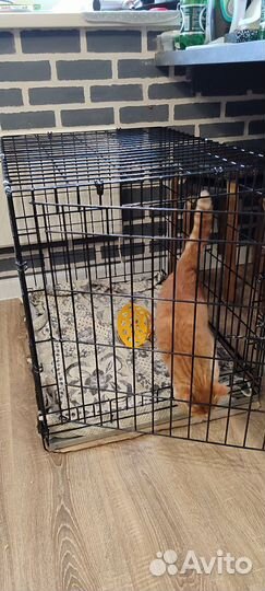 Клетка вольер для собак