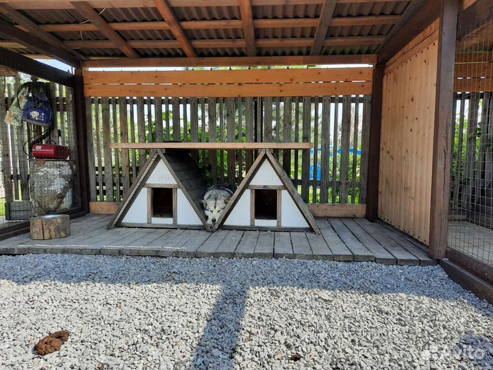 Собачья будка с настилом