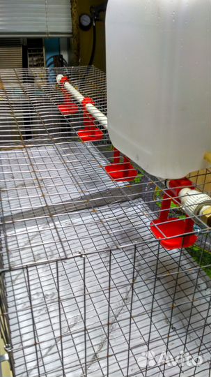 Клетки для перепелок и с/х птицы